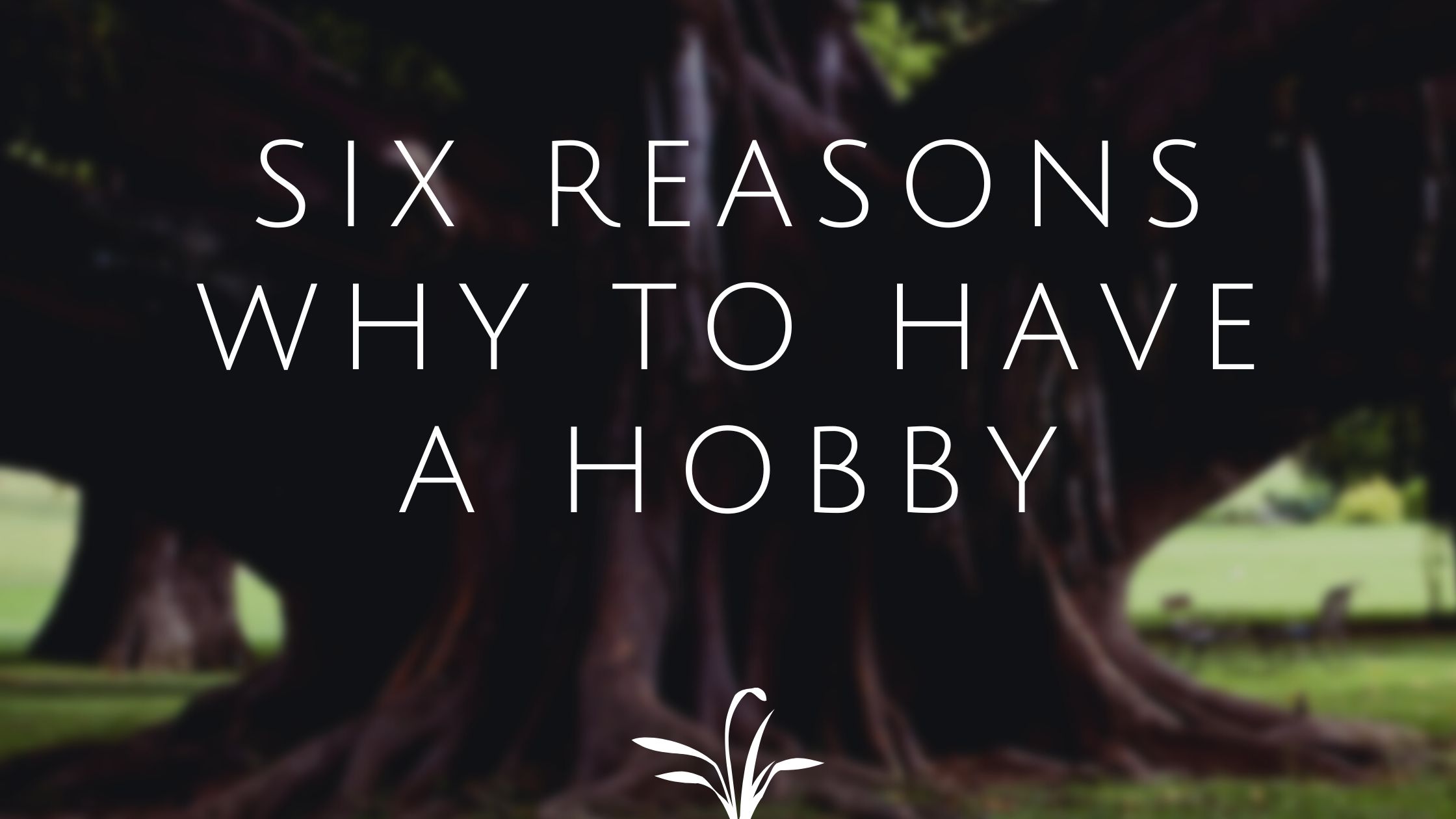 Six reasons why one must have a hobby