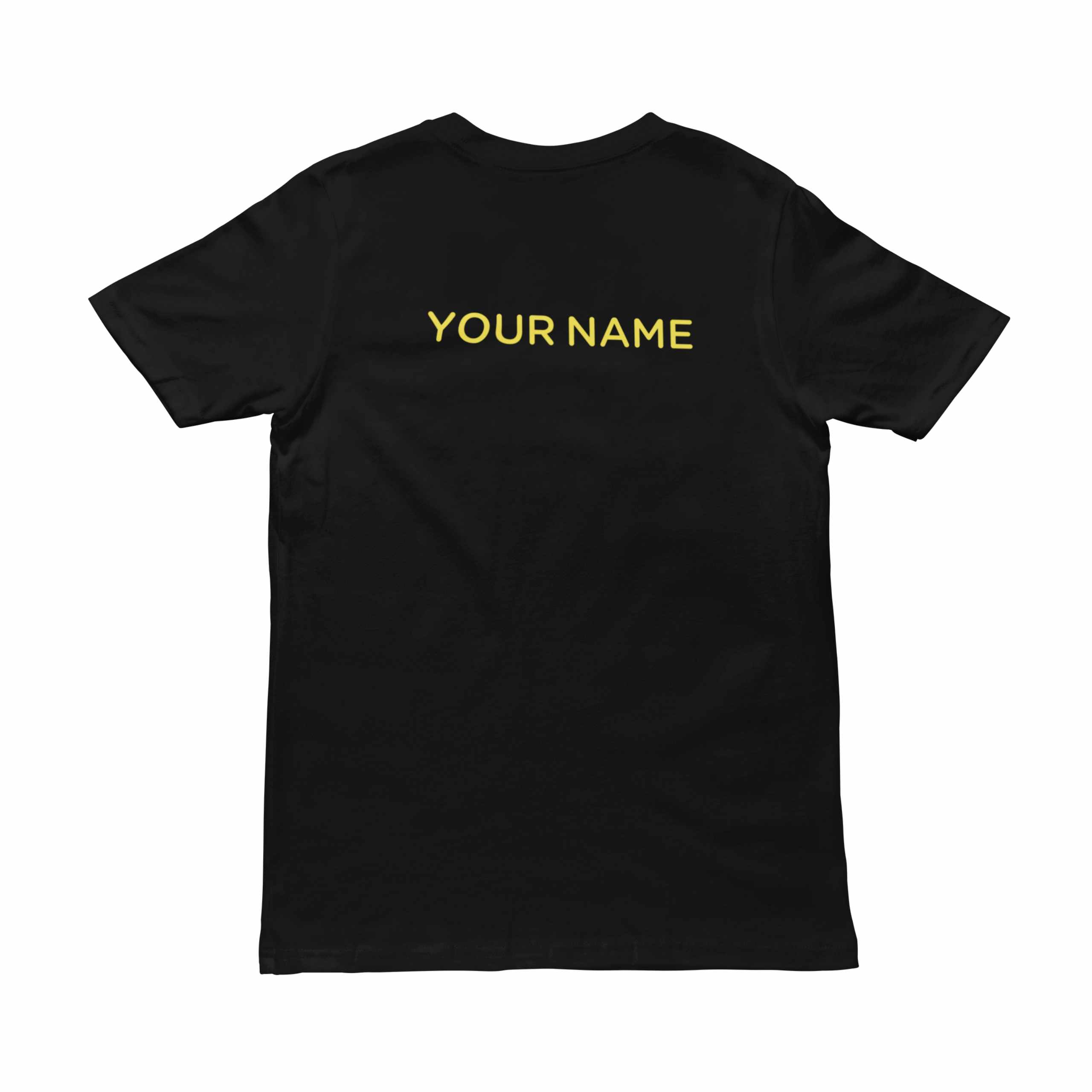 Desiflow Unisex Classic Black Tshirt - Back - Flauntpassion India
